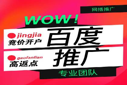 信息流广告投放公司案例效果评估
